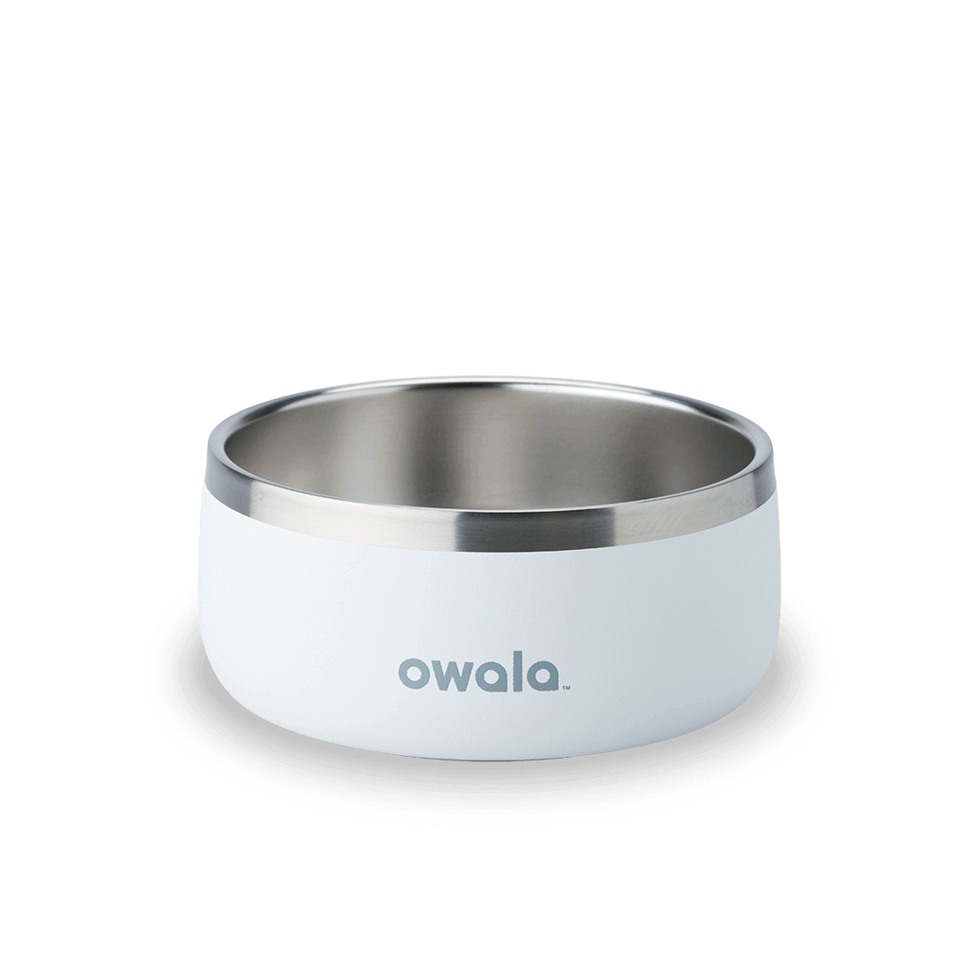 Pet Bowl R0